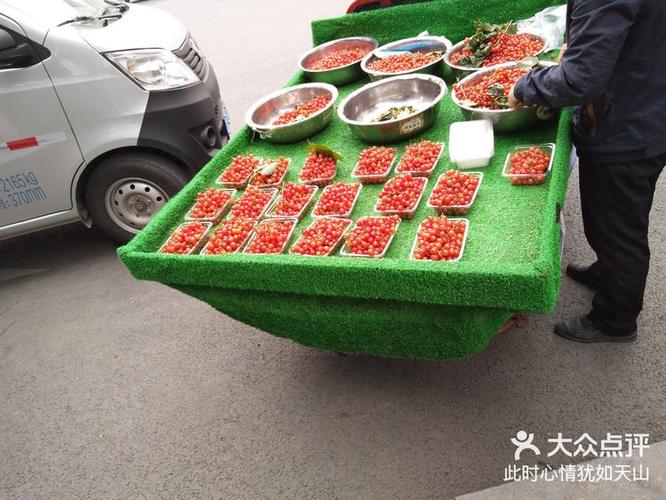 花繁草茂满园春——茂繁技术的园林美学与实践